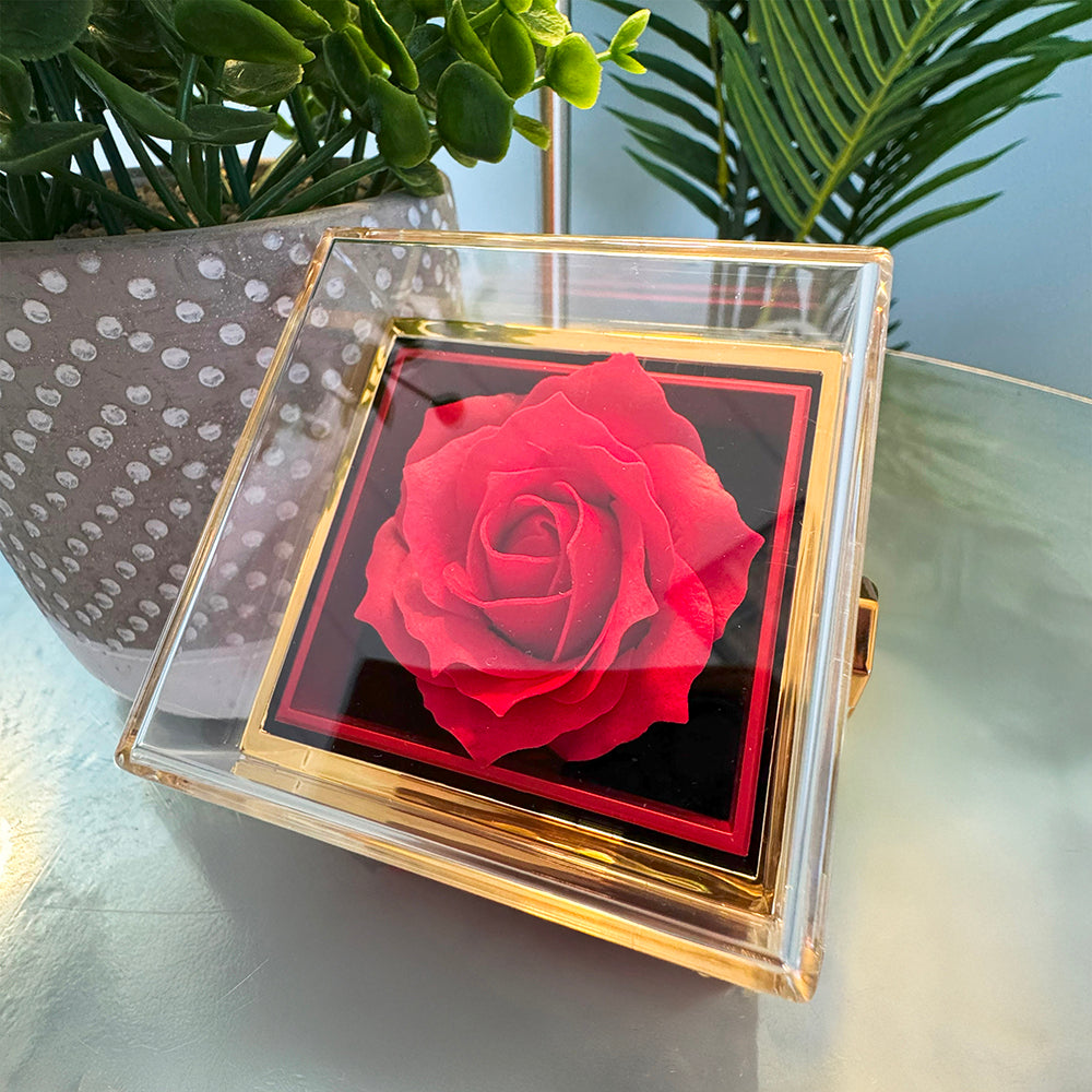 Love Knot - Rotating Rose Gift Box
